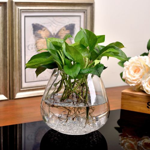 创意鱼缸高档玻璃花瓶圆形水培-玻璃制品-徐州隆鼎玻璃制品